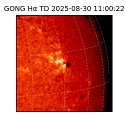 gong - 2025-08-30T11:00:22
