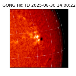 gong - 2025-08-30T14:00:22