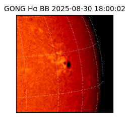 gong - 2025-08-30T18:00:02
