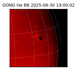 gong - 2025-08-30T19:00:02