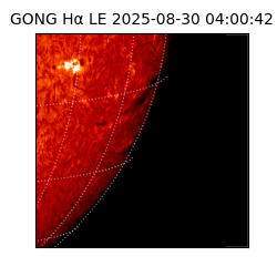 gong - 2025-08-30T04:00:42