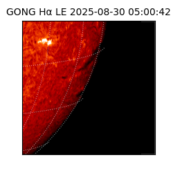gong - 2025-08-30T05:00:42