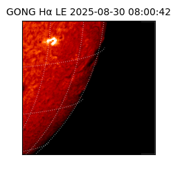 gong - 2025-08-30T08:00:42