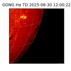 gong - 2025-08-30T12:00:22