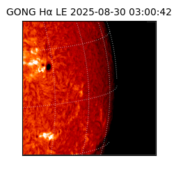 gong - 2025-08-30T03:00:42