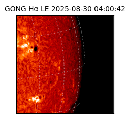 gong - 2025-08-30T04:00:42