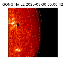 gong - 2025-08-30T05:00:42