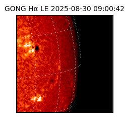 gong - 2025-08-30T09:00:42