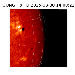 gong - 2025-08-30T14:00:22