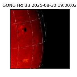 gong - 2025-08-30T19:00:02
