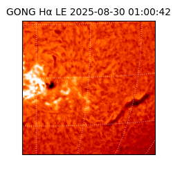 gong - 2025-08-30T01:00:42
