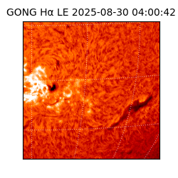 gong - 2025-08-30T04:00:42