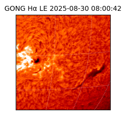 gong - 2025-08-30T08:00:42