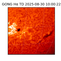gong - 2025-08-30T10:00:22