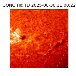 gong - 2025-08-30T11:00:22