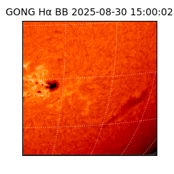 gong - 2025-08-30T15:00:02