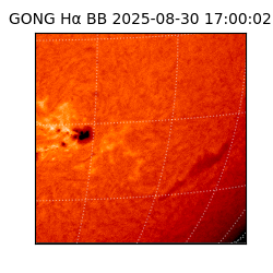 gong - 2025-08-30T17:00:02