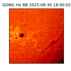 gong - 2025-08-30T18:00:02