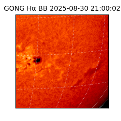 gong - 2025-08-30T21:00:02