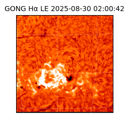 gong - 2025-08-30T02:00:42
