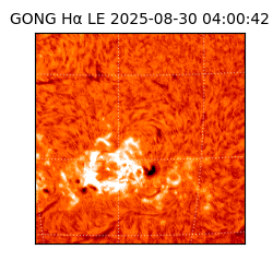 gong - 2025-08-30T04:00:42