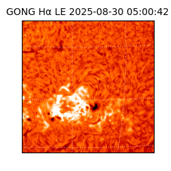 gong - 2025-08-30T05:00:42