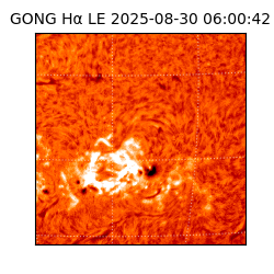 gong - 2025-08-30T06:00:42