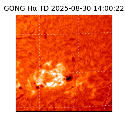 gong - 2025-08-30T14:00:22