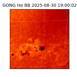 gong - 2025-08-30T19:00:02