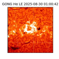 gong - 2025-08-30T01:00:42