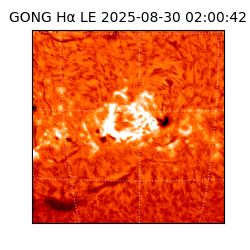 gong - 2025-08-30T02:00:42