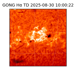 gong - 2025-08-30T10:00:22