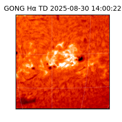 gong - 2025-08-30T14:00:22