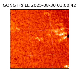 gong - 2025-08-30T01:00:42
