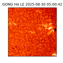 gong - 2025-08-30T05:00:42