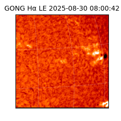 gong - 2025-08-30T08:00:42