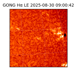 gong - 2025-08-30T09:00:42