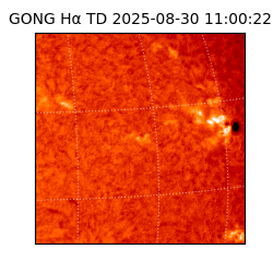 gong - 2025-08-30T11:00:22