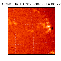 gong - 2025-08-30T14:00:22