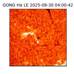 gong - 2025-08-30T04:00:42