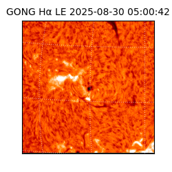 gong - 2025-08-30T05:00:42