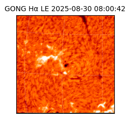 gong - 2025-08-30T08:00:42