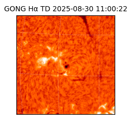 gong - 2025-08-30T11:00:22