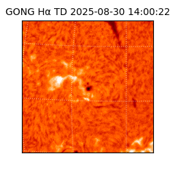 gong - 2025-08-30T14:00:22