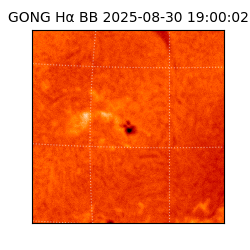 gong - 2025-08-30T19:00:02