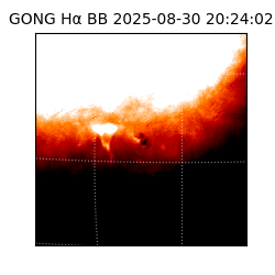 gong - 2025-08-30T20:24:02