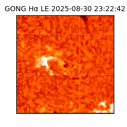 gong - 2025-08-30T23:22:42