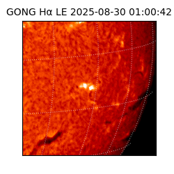 gong - 2025-08-30T01:00:42