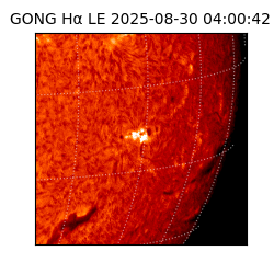 gong - 2025-08-30T04:00:42