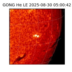 gong - 2025-08-30T05:00:42